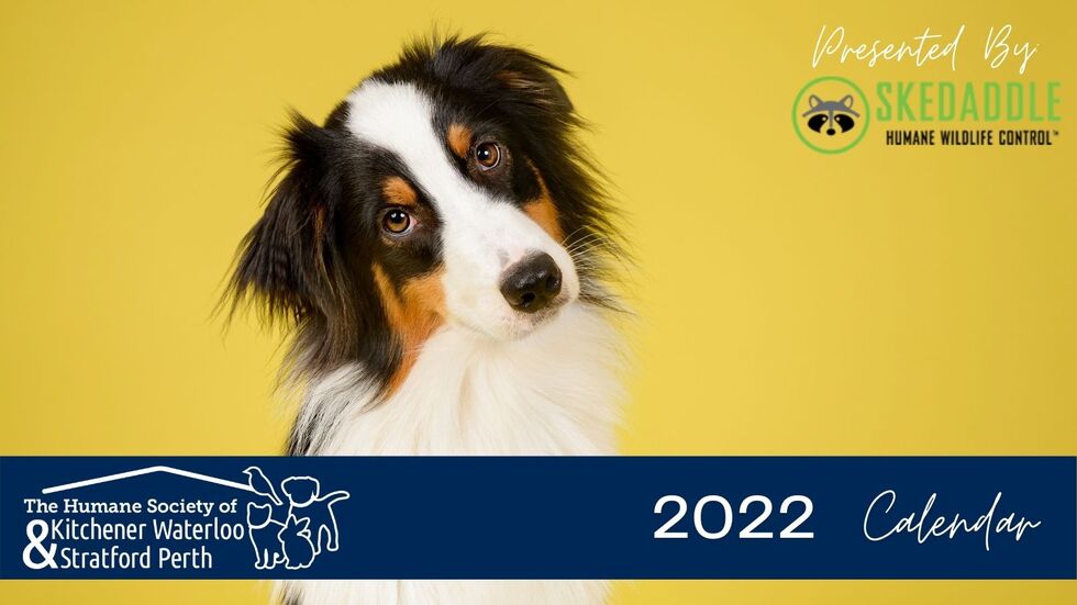 Kwsp Humane Society 2022 Calendar Contest