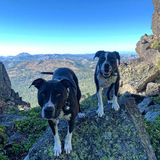 Entry image for Jada & Ziggy