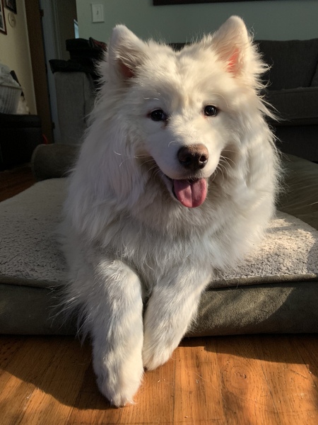 Entry image for Yuki. Clicking this image will show a larger photo