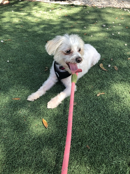 Holly Mae 