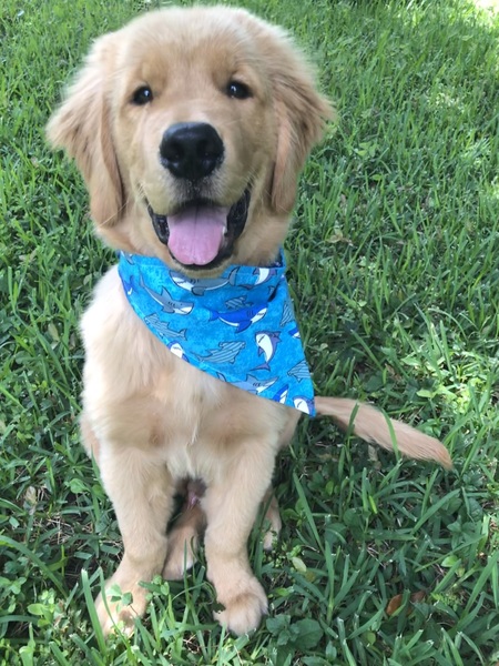 Graham