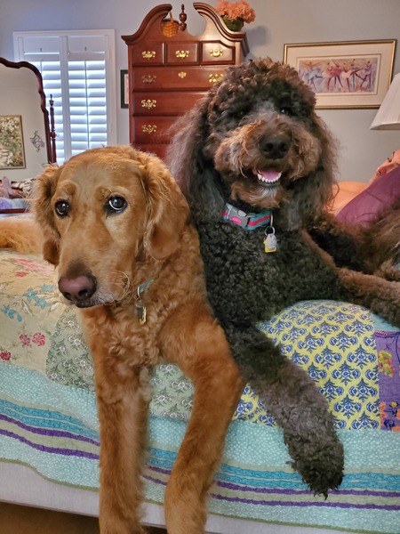 Toby and Emma 