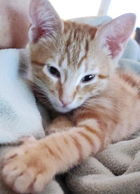 Rusty