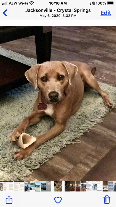 Harper