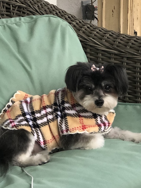 Chloe