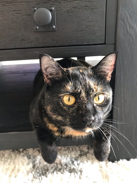 Molly