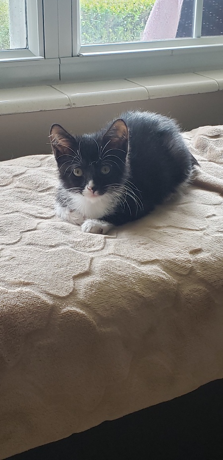Tito
