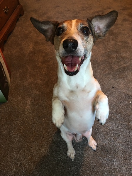 Penny