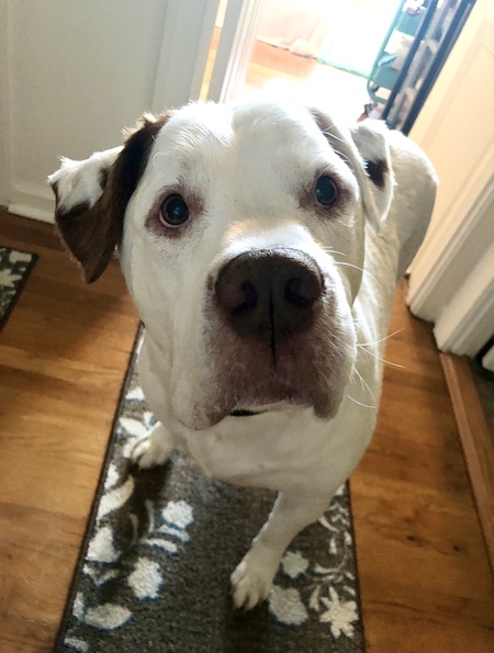 Jax