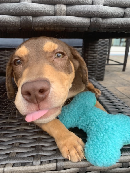 Jax