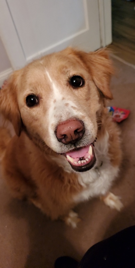 Daisy Mae