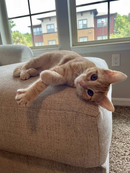 Leo