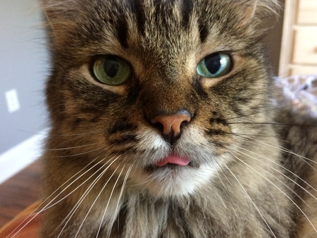 Sebastian