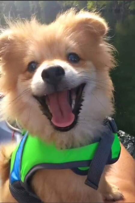 Ted E. Bear aka Bear