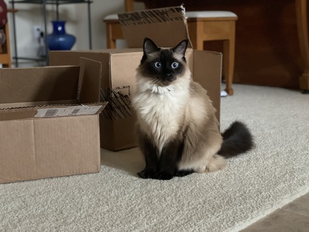 Lucy