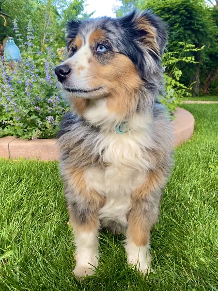 Zoe