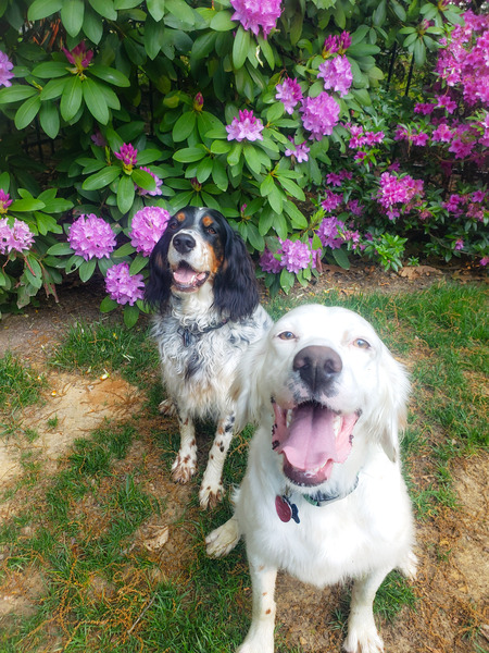 Molly and Caleb Ozlanski