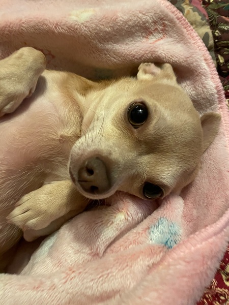 Chloe