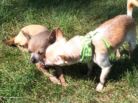 Lily and Javier