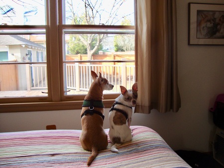 Lambeau and Jack