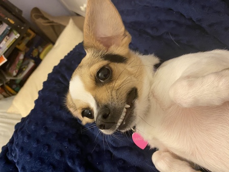 Maggie 