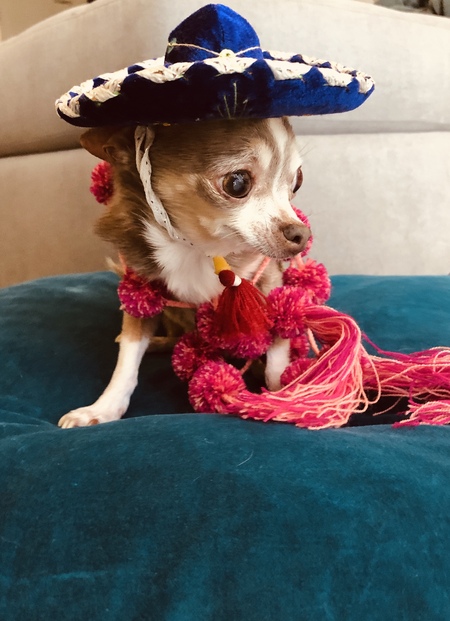 Cocoa Kleitz