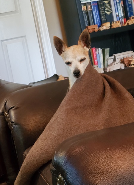 Charlie