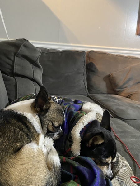 Mr. Beans and Jack