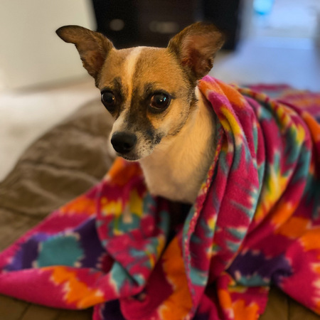 Tiki