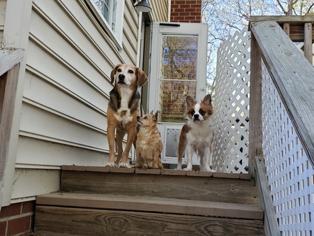 Winston and his buddies
