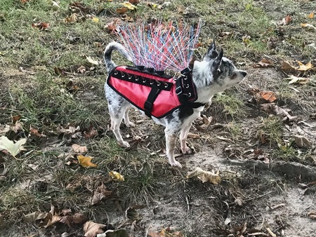 Zoe