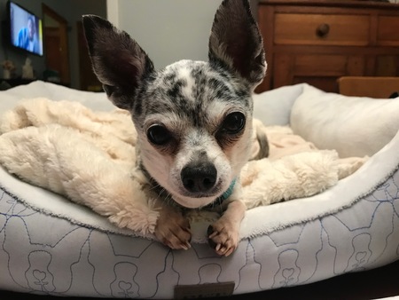 Zoe