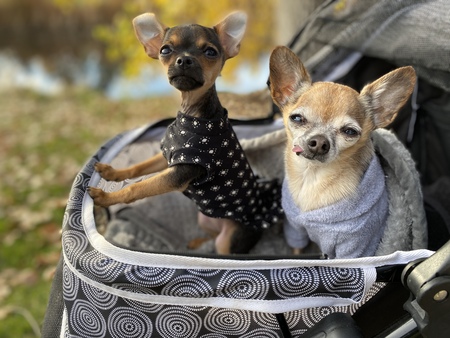 Sylvie Lee and Winston