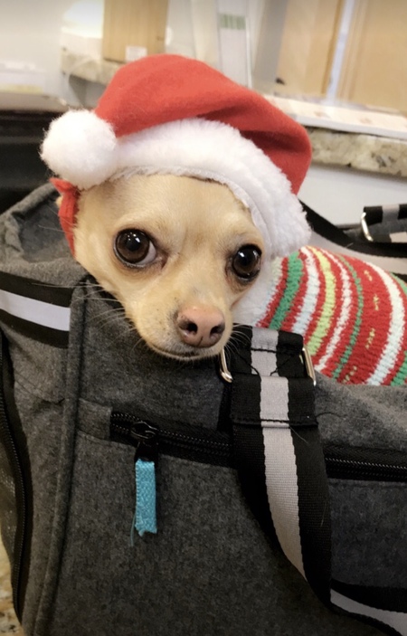 Penny Sue