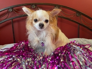 Queen Bridget