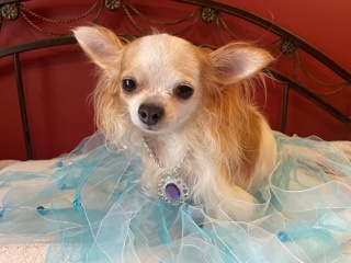 Queen Bridget