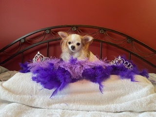 Queen Bridget