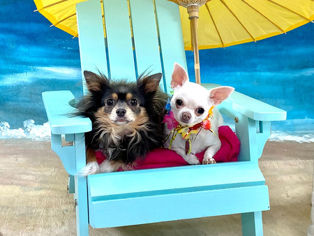 Dovie & Paloma