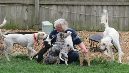 Dalton, Kimmie & puppies, Charlie and Suzanne