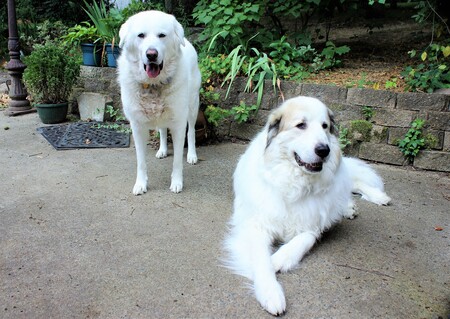 Willow & Simon