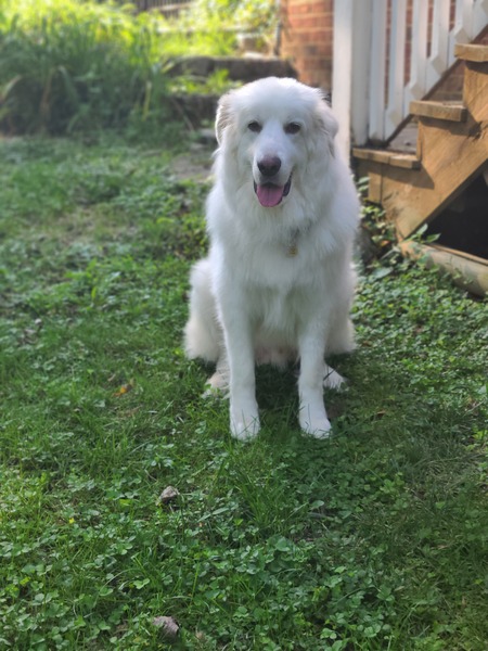 Monty