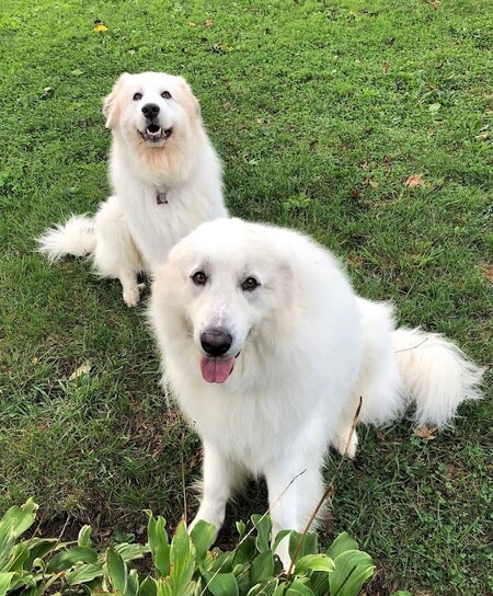Becca and Samson