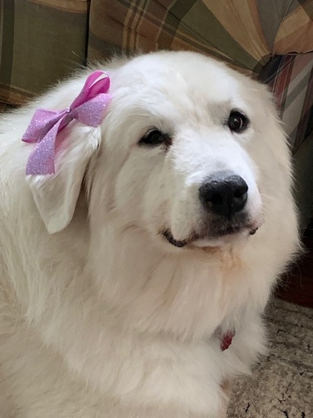 Sophie