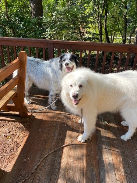 Dani and Winston 