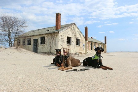 Lucy, Chaos and Zeus