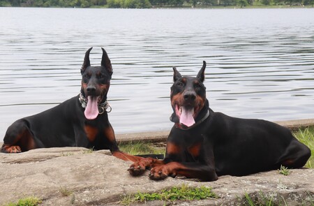 Kayla & Tiberius