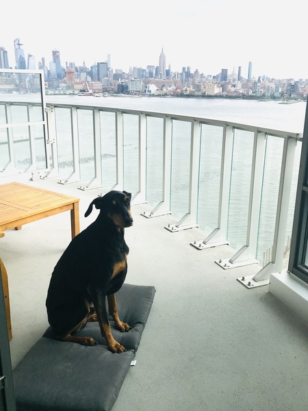 Max