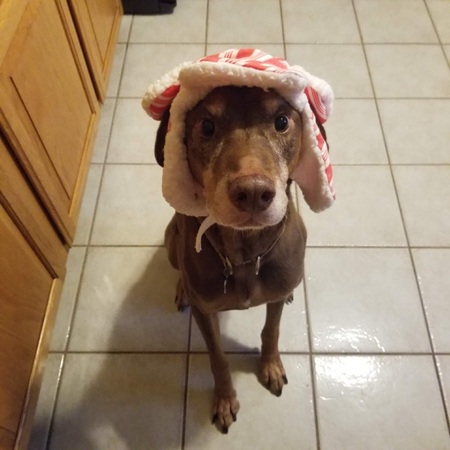 Duke