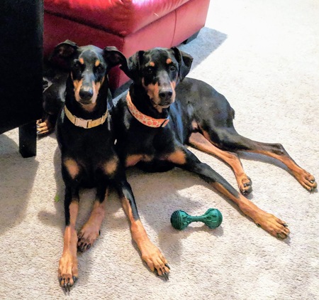 Remi and Maisie