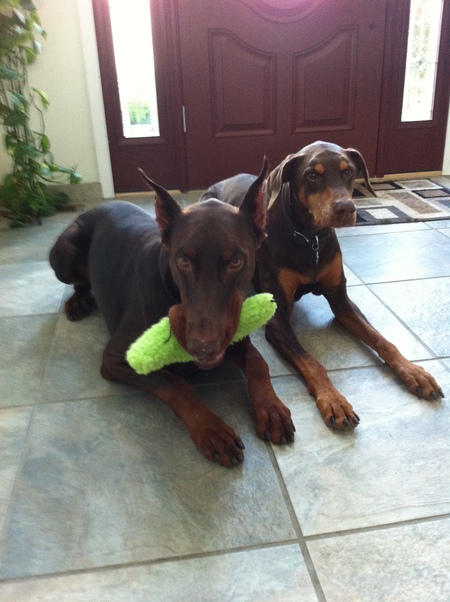 Caesar & Jasmine